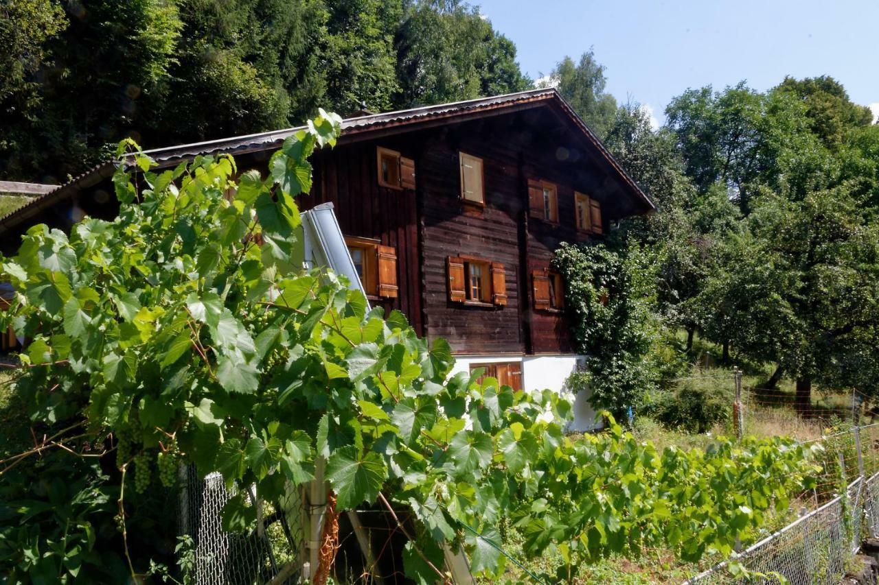 Landhaus Tenne بارثولومابيرغ المظهر الخارجي الصورة